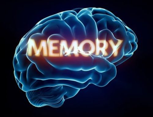 HAVING A GREAT MEMORY IS A DOUBLE-EDGED SWORD